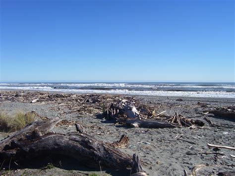 Free Images Beach Driftwood Sea Coast Nature Rock Ocean