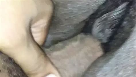 Free Ssbbw Hairy Porn Videos XHamster