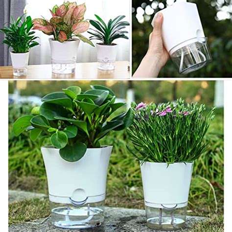 Pack Clear Self Watering Pots For Indoor Plants Large Hexagon Self