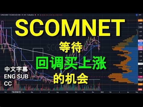 SCOMNET SUPERCOMNET 等待回调买上涨的机会 中英文字幕 ENG SUB CC YT会员问股福利 盘后筹码峰技术分析