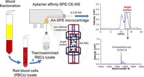 在线适体亲和固相萃取毛细管电泳 质谱法用于血液α 突触核蛋白的分析。analytical Chemistry X Mol