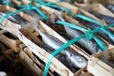 Indonesia Go Id Ikan Pindang Solusi Kemiskinan Dan Stunting