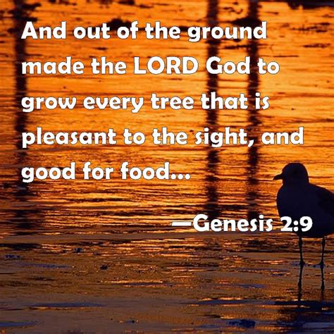 Genesis 29 And Out Of The Ground Made The Lord God To Grow Every Tree