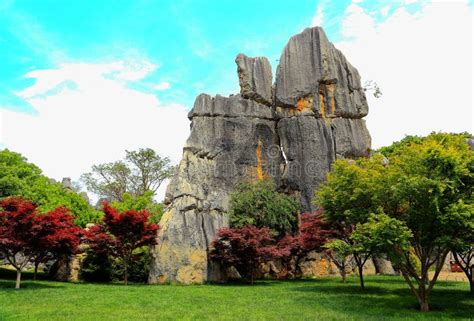 Kunming Stone Forest Scenic Area Stock Image - Image of asia, beauty ...