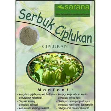 Jual Serbuk Bubuk Ciplukan Kemasan Gr Asli Atasi Berbagai Penyakit