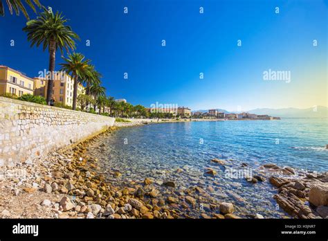 Ajaccio Old City Center Coastal Cityscape With Palm Trees And Typical