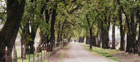 visit serres ranch wine serres ranch wine