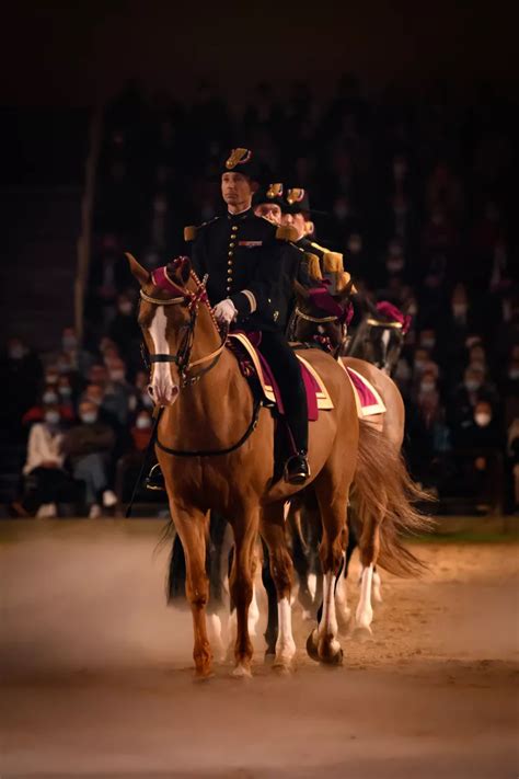 Cadre Noir De Saumur Visite D S Spectacle Et Gala Anjou Tourisme