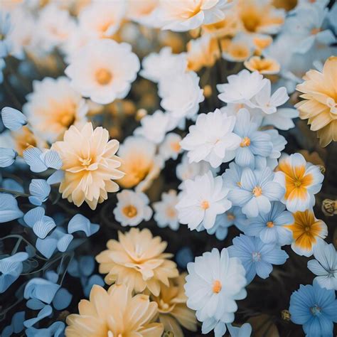 Premium AI Image | A very wide shot of flowers in yellow blue and white colors