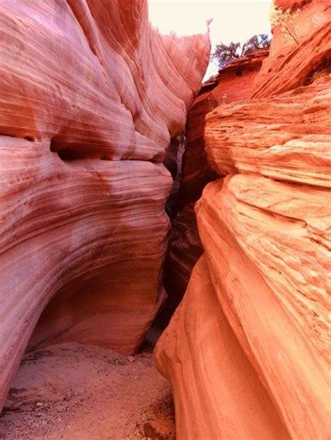 Great Chamber Coral Cliffs Tours And Townhomes Kanab Ut 84741