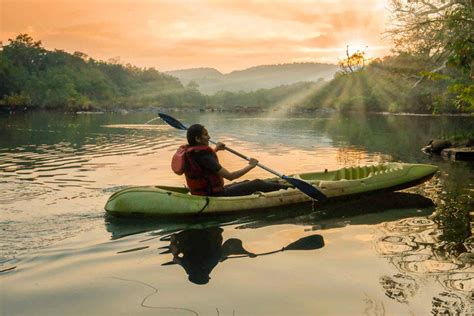 whistling woods jungle resort dandeli by Dinesh Malte at Coroflot.com