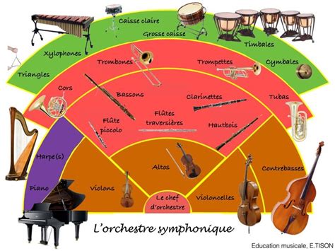 An Image Of A Musical Instrument Diagram With All The Instruments