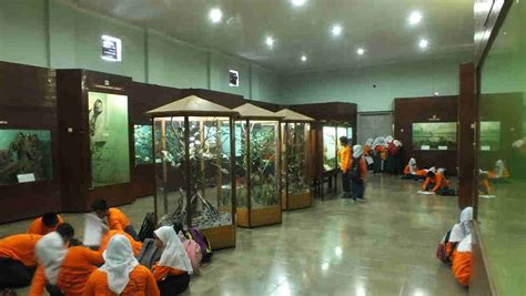 Bogor Zoology Museum Preserved History Lovely Bogor