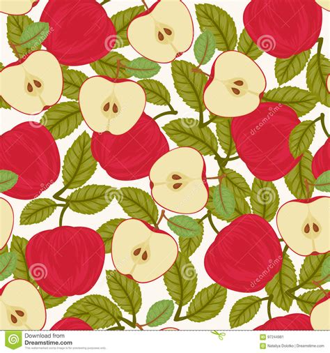 Seamless Apple Pattern Stock Vector Illustration Of Natural 97244981