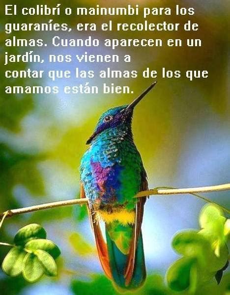 Introducir Imagen Leyenda Del Colibri Y Las Almas Viaterra Mx