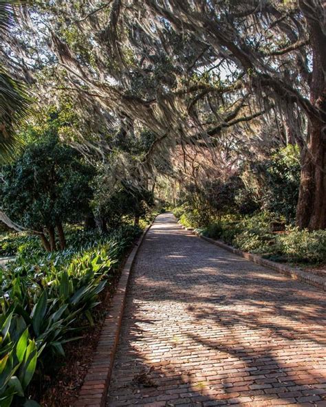 22 Exciting Things To Do In Tallahassee