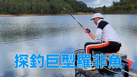 鄧剛釣魚丨探釣巨型羅非魚，3米6的短桿拉的呼呼作響，這手感別提有多爽。 【天元鄧剛】 Youtube