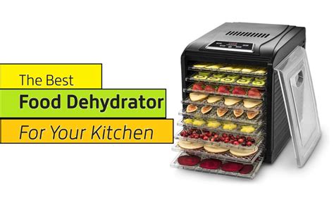 10 Best Food Dehydrators For 2020