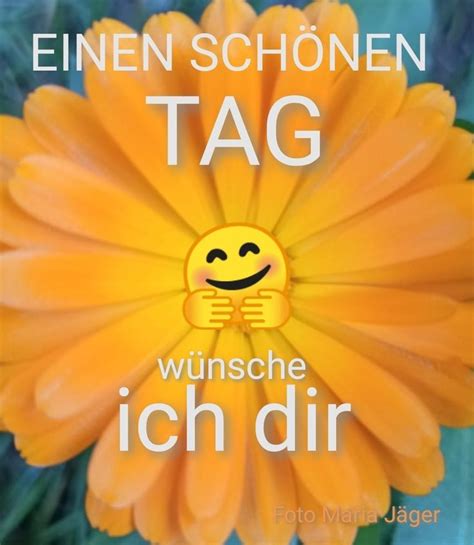 Pin von Viola Göllner auf Sprüche Zitate Schöne guten morgen