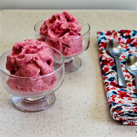 Recipe For Low Sugar Fat Free Strawberry Frozen Yogurt Kalyn S Kitchen