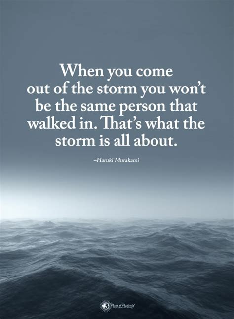 Quotes When You Come Out Of The Storm You Wont Be The Same Person That