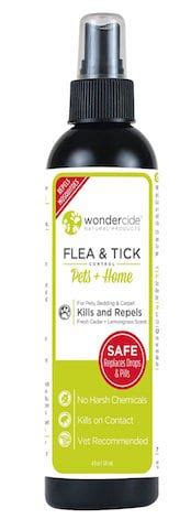 Natural Flea Treatment for Dogs: Smart + Safe Treatments