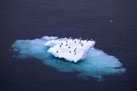 Melting Permafrost In Arctic Will Have Tn Climate Impact Study