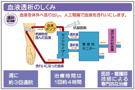 バスキュラーアクセス 治療センター 腎透析センター 広域医療法人輝山会 輝山会記念病院