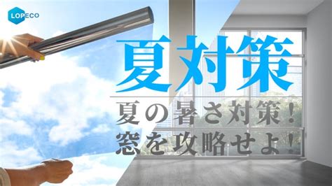 夏がやってくる！お部屋の暑さ対策は窓の遮熱から！「damaga」｜マクアケ アタラシイものや体験の応援購入サービス