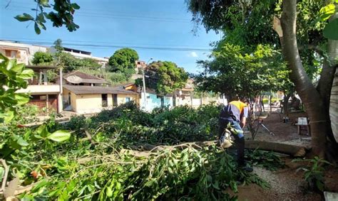 Defesa Civil Atende Bairro Da Gl Ria Poda De Rvores