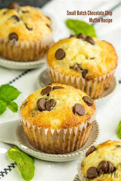 Small Batch Chocolate Chip Muffin Recipe