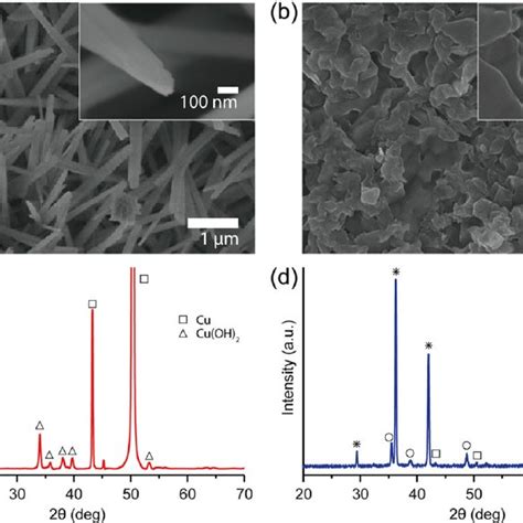 FE SEM Images Of The Morphology Of The Cu OH 2 Nanowires A And CuO