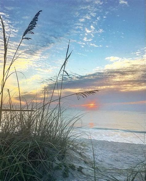 Beautiful Beach And Sea Oats Beautiful Beach Scenes Beautiful