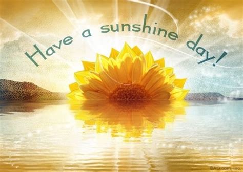 Have A Sunshine Day I See Things Differently Pinterest