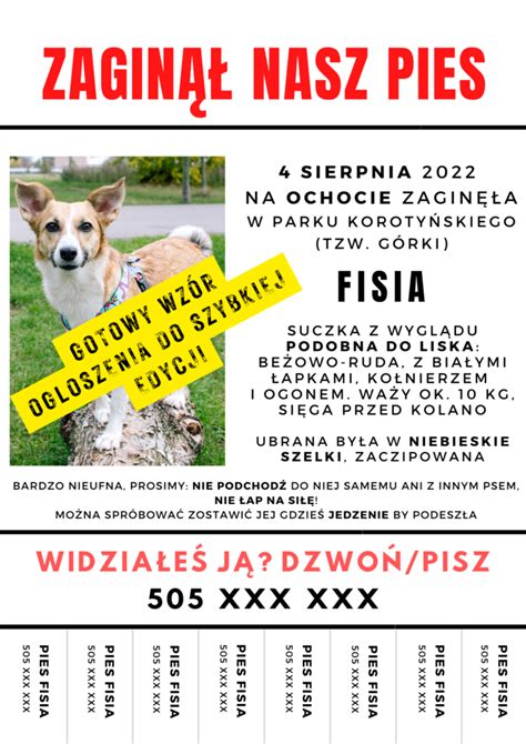 Zaginął pies co robić wzór ogłoszenia FISIA PL