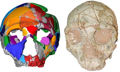 Homo Sapiens N O Africano Mais Antigo Encontrado Em Caverna Da Gr Cia