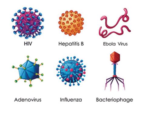 Le Virus Un Ami Qui Te Veut Du Bien Echosciences Grenoble