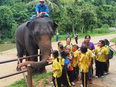 Elephant Conservation Center : Let’s see those lovely elephants