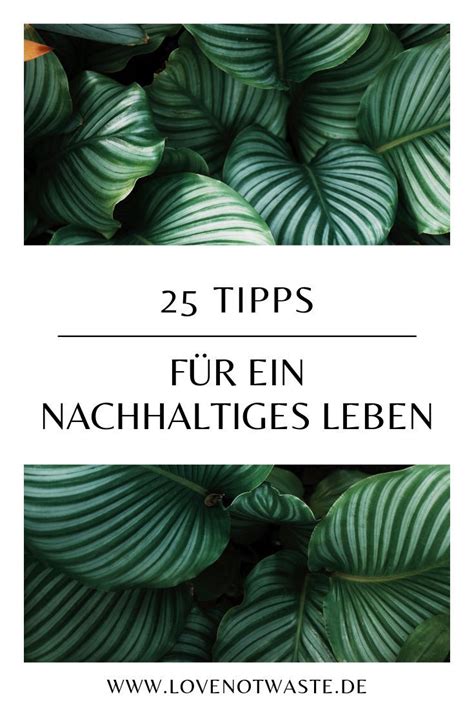 Tipps Wie Du Sofort Nachhaltiger Leben Kannst Lovenotwaste In