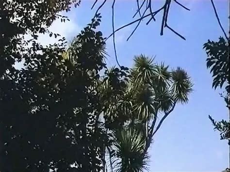 Free Golden Girls Porn Videos XHamster