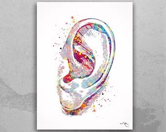 Ear Anatomy Watercolor Print Audiologist Gift Audiology Poster | Etsy