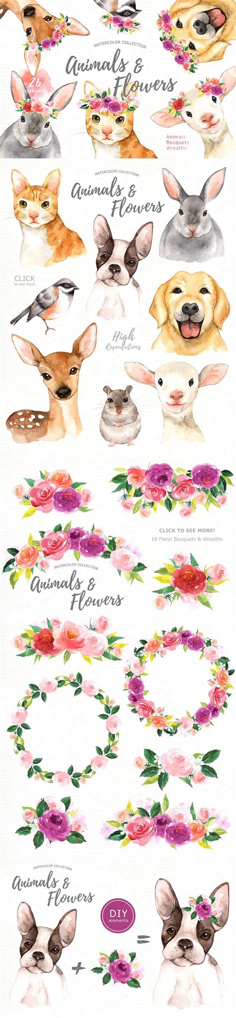 Animals & Flowers Watercolor Clipart | Watercolor animals, Watercolor ...