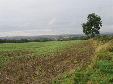 Near Oscar Park Farm © T Eyre Cc By Sa20 Geograph Britain And Ireland