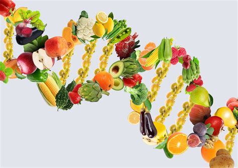 Nutrigenetics What Food Does Your Dna Crave Secret Sequence