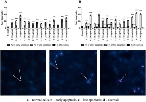 Ratio Of Apoptosis Early And Late And Necrosis In CCD 841 CoTr A