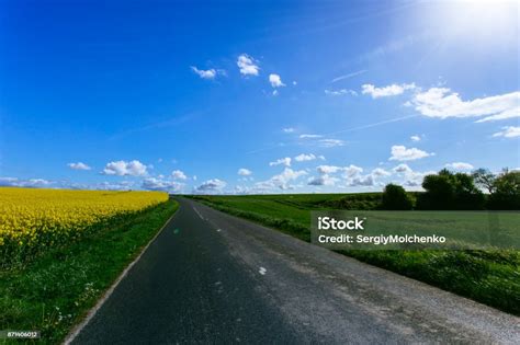 Empty Country Asphalt Road Passing Through Green And Flowering