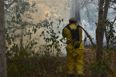 Ante Ola De Incendios Declaran Emergencia Ambiental En Ayolas