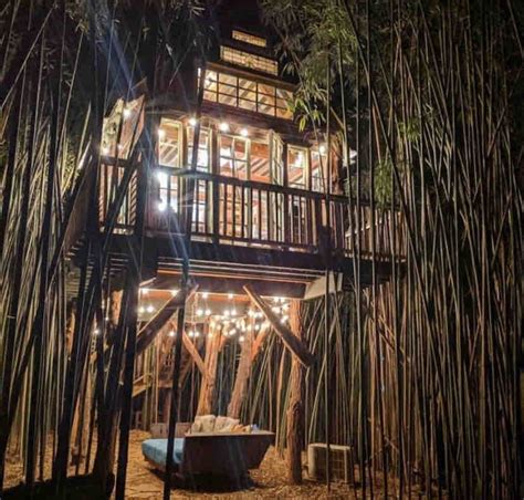 Alpaca Treehouse in the Bamboo Forest - Treehouses for Rent in Atlanta ...