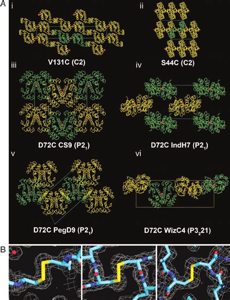 Six new crystal forms of synthetic T4 lysozyme dimers. ( A ) Crystal ... 
