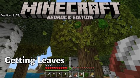 Leaves How To Obtain And Use Them In Minecraft Bedrock MCPE Xbox PS5